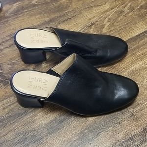 naturalizer daria mule